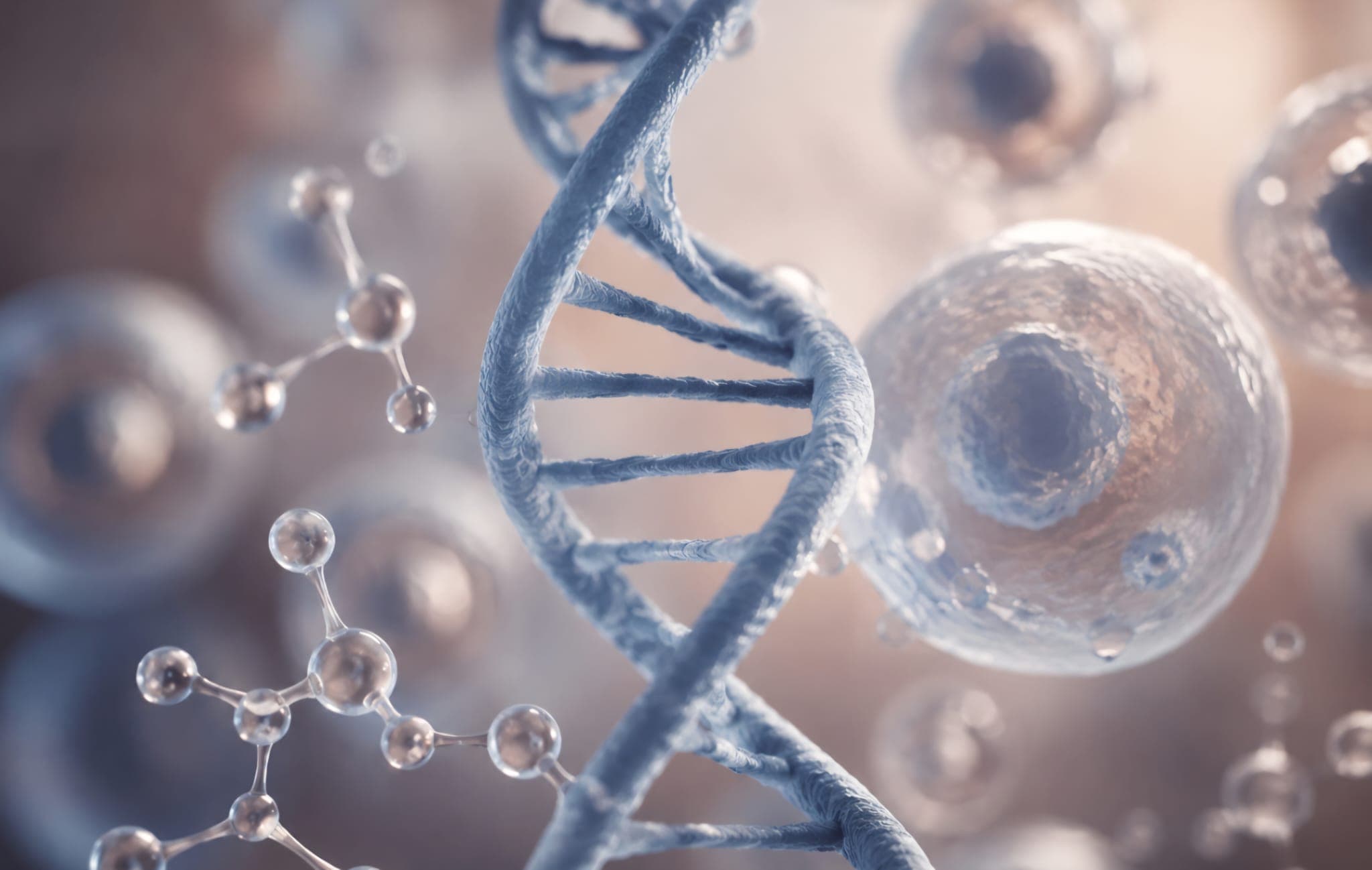 Telomeres & Diet: The Molecular Clock of Aging